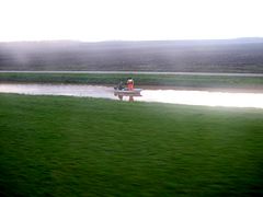 IMG_1243 (Large)